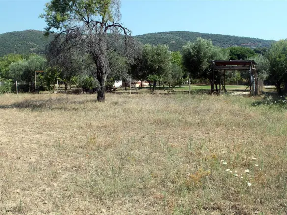 Land In Aristotle, Greece