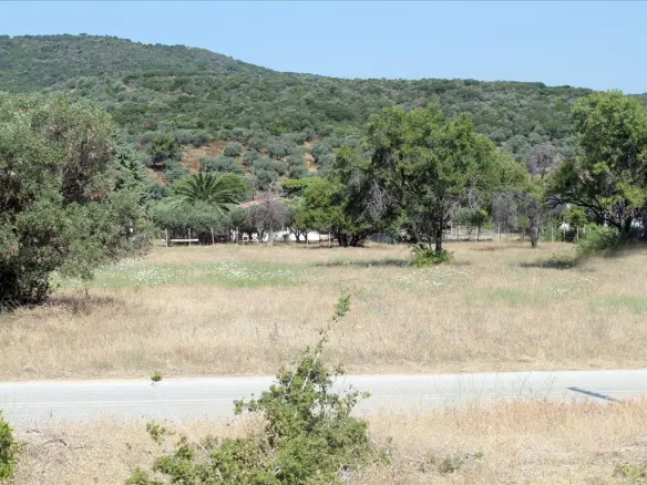 Land In Aristotle, Greece