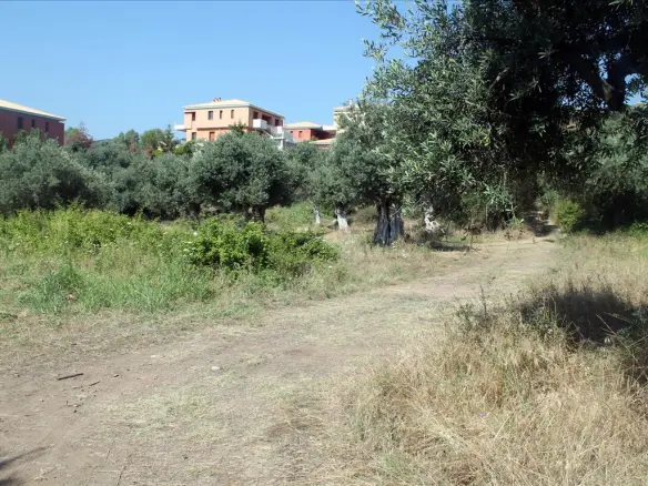 Land In Aristotle, Greece