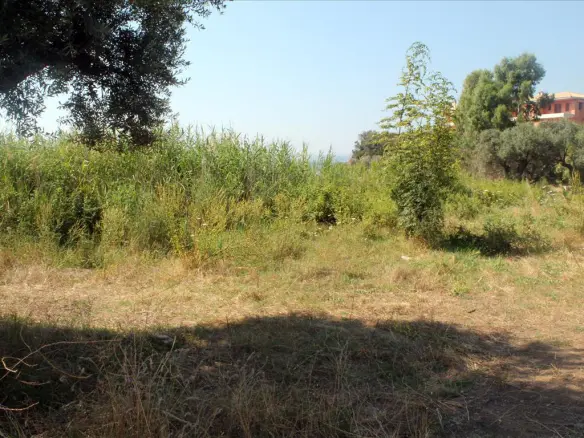 Land In Aristotle, Greece