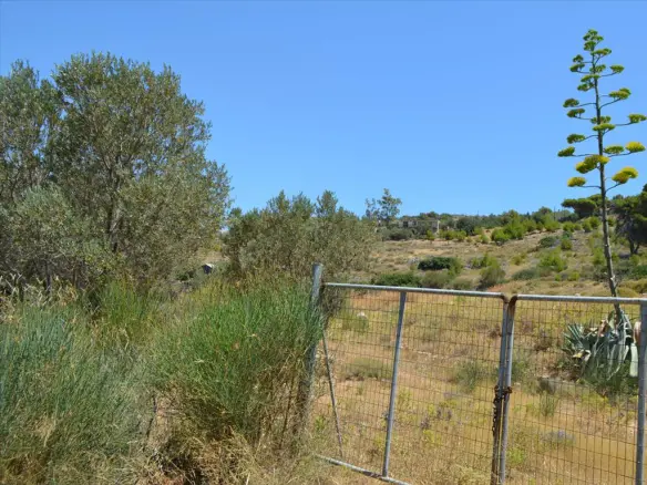 Land In Kalivia Thorikou, Greece (7.700 M²)
