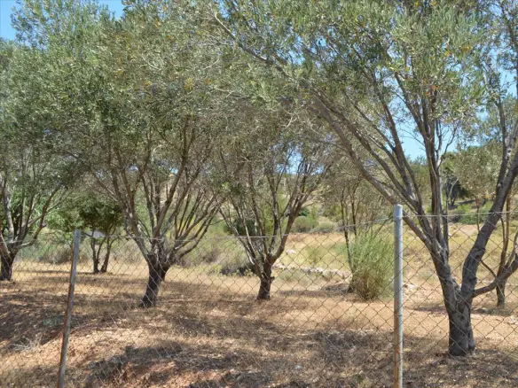 Land In Kalivia Thorikou, Greece (7.700 M²)