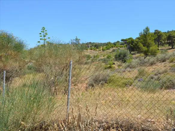 Land In Kalivia Thorikou, Greece (7.700 M²)