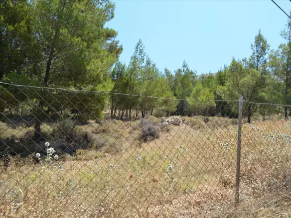 Land In Kalivia Thorikou, Greece (7.700 M²)