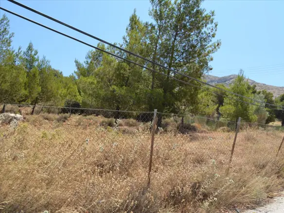 Land In Kalivia Thorikou, Greece (7.700 M²)