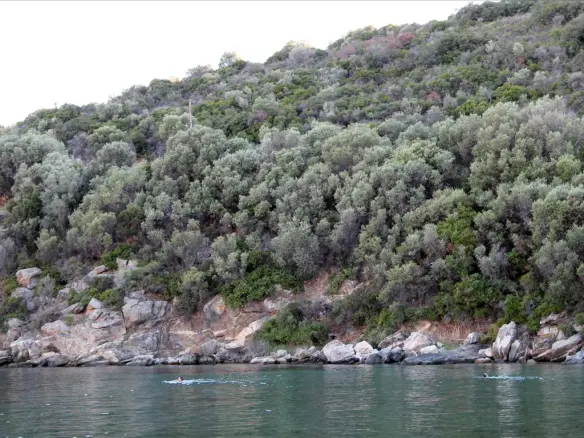 Land In Aristotle, Greece