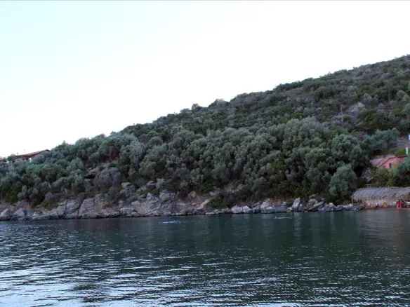 Land In Aristotle, Greece