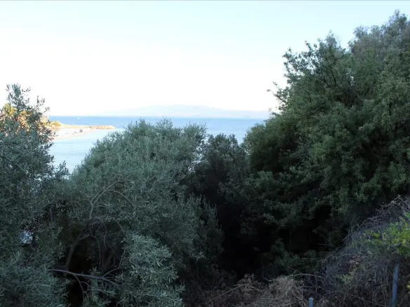 Land In Aristotle, Greece