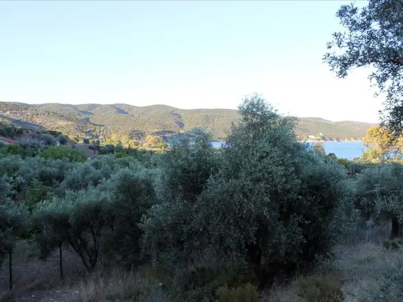 Land In Aristotle, Greece