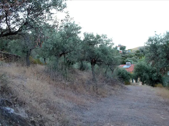 Land In Aristotle, Greece