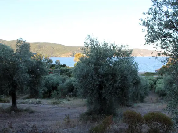 Land In Aristotle, Greece
