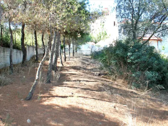 Land In Nea Artaki, Greece