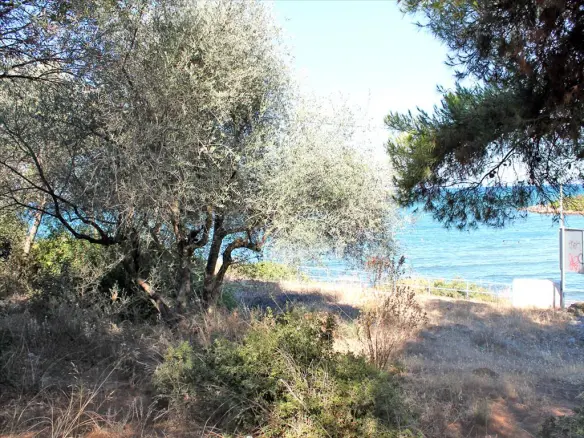 Land In Nea Artaki, Greece