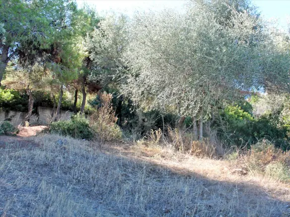 Land In Nea Artaki, Greece