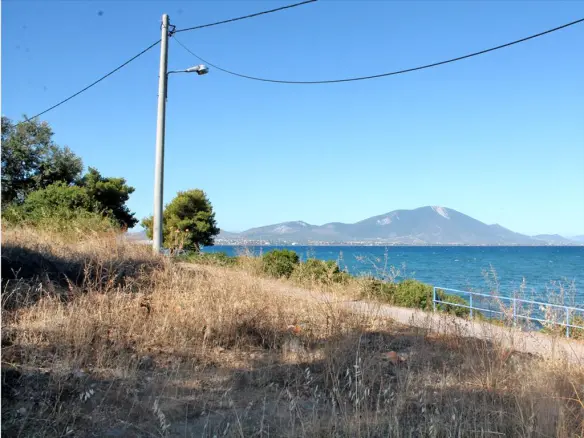 Land In Nea Artaki, Greece