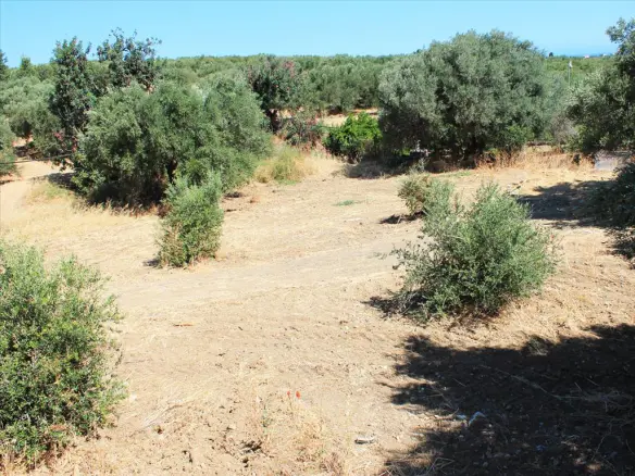 Land In Chersonisos, Greece
