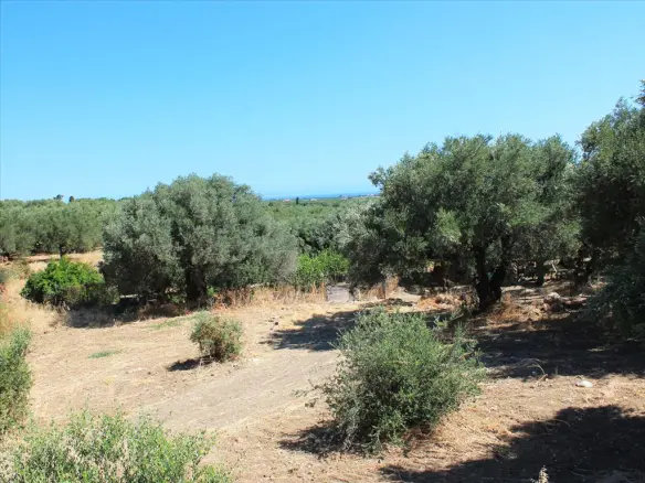 Land Parcel 2009 M² In Crete With Development Potential