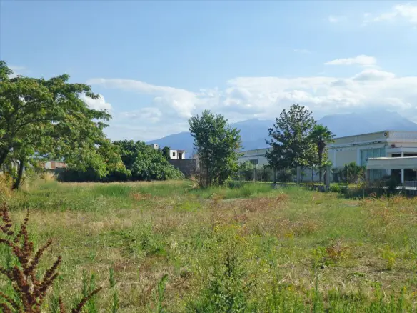 Land In Greece