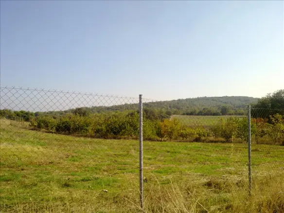 Land In Chortiatis, Greece