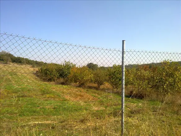Land In Chortiatis, Greece