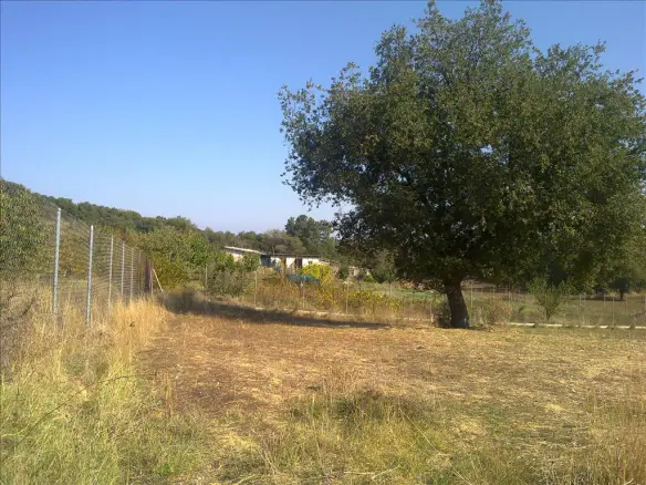 Land In Chortiatis, Greece