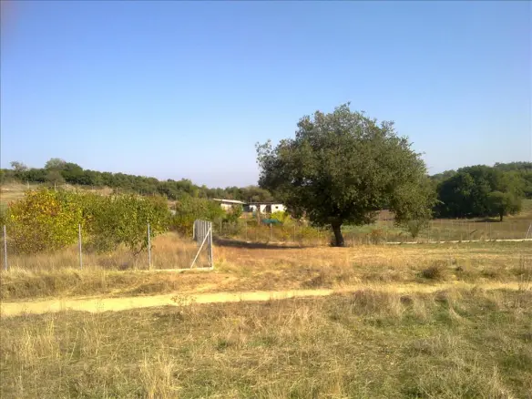 Land In Chortiatis, Greece