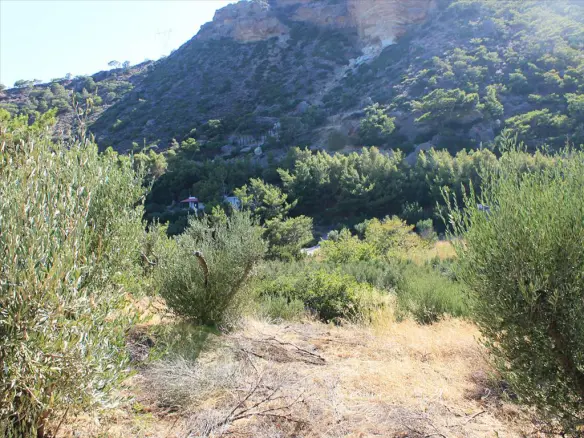 Land In Siteia, Greece