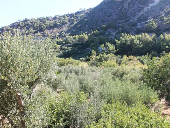 Land In Siteia, Greece