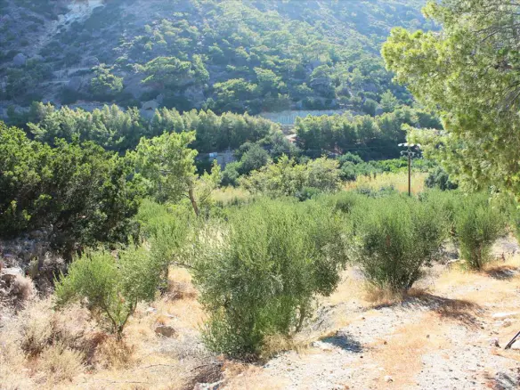 Land In Siteia, Greece