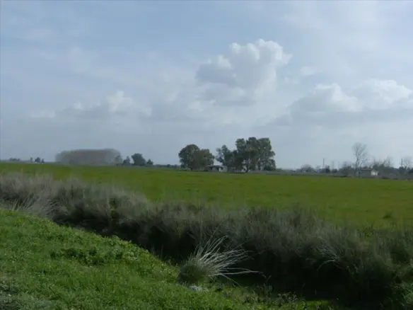 Land In Lechaina, Greece