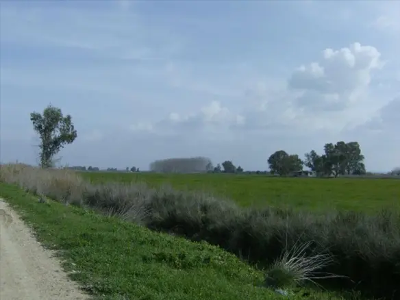 Land In Lechaina, Greece