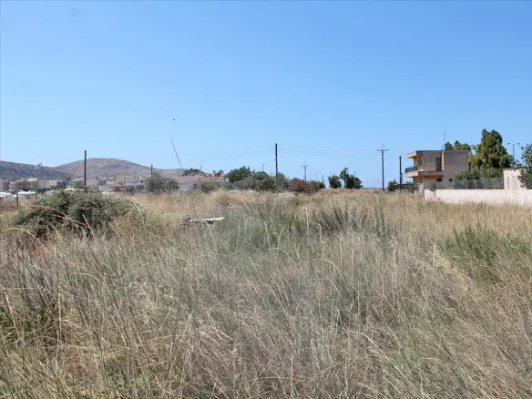 Land In Anavissos, Greece