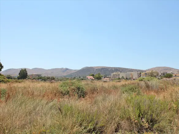 Land In Anavissos, Greece
