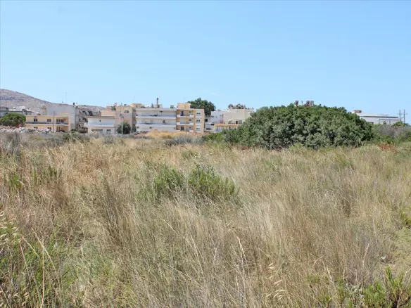 Land In Anavissos, Greece