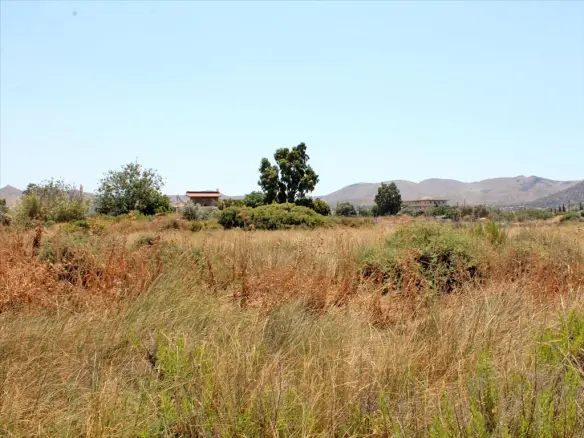Land In Anavissos, Greece