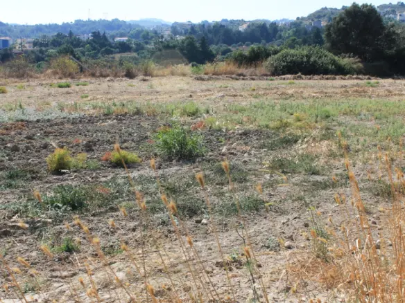 Land In Rhodes, Greece (35.260 M²)