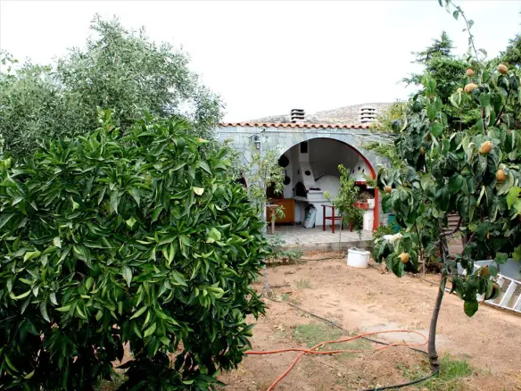 3-bedroom Detached House In Palaia Fokaia, Greece (177 M²)