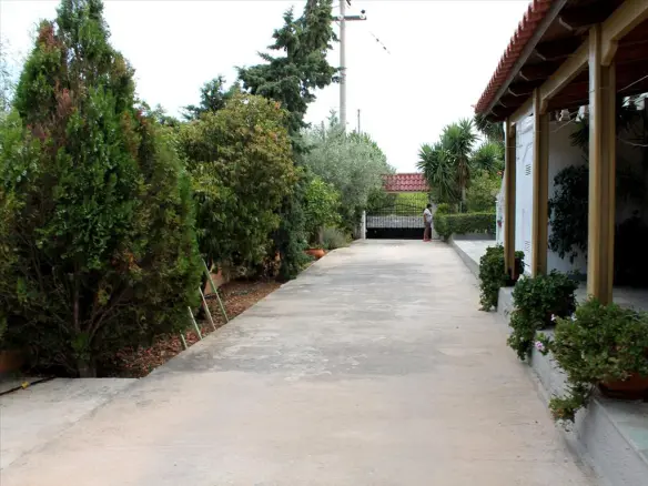 3-bedroom Detached House In Palaia Fokaia, Greece (177 M²)