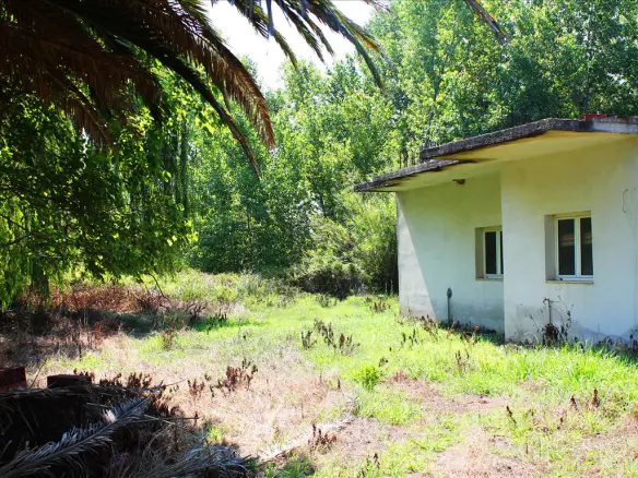 Land In Corfu, Greece (100 M²)
