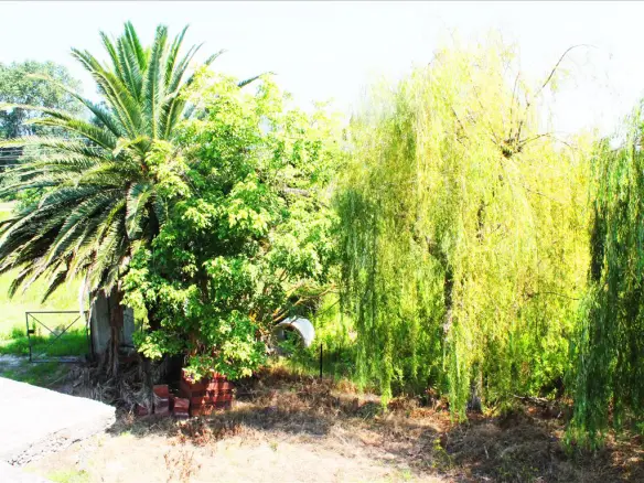 Land In Corfu, Greece (100 M²)