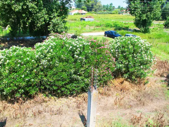 Land In Corfu, Greece (100 M²)