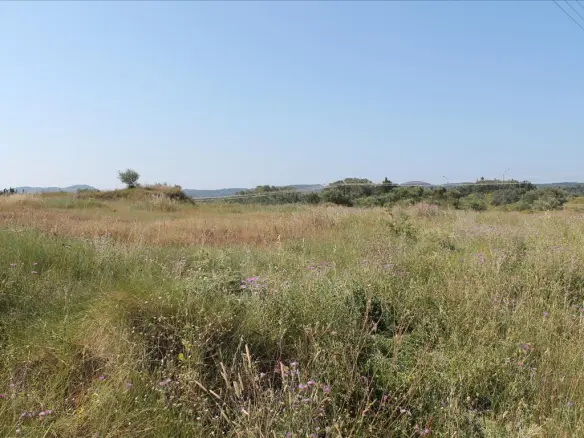 Land In Corfu, Greece