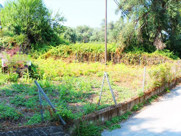 Land In Corfu, Greece