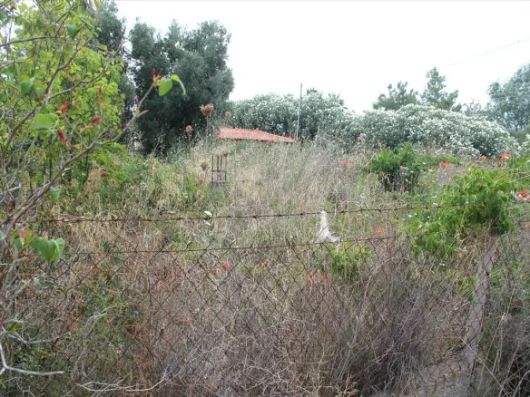 Land In Kassandra, Greece