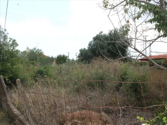 Land In Kassandra, Greece