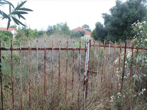 Land In Kassandra, Greece