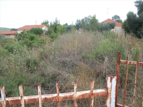 Land In Kassandra, Greece