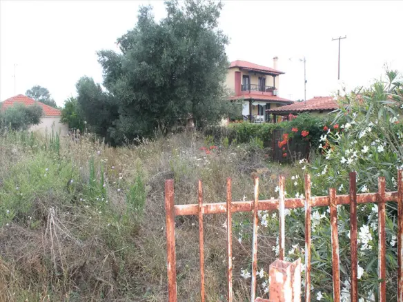 Land In Kassandra, Greece