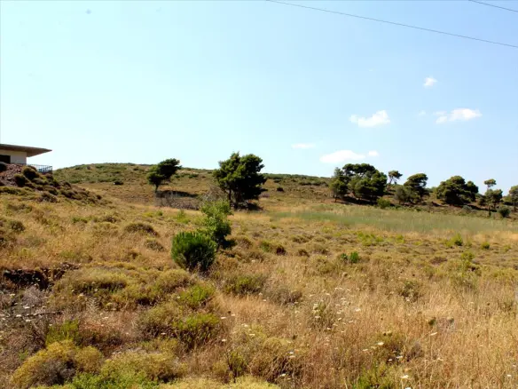 Land In Penteli, Greece