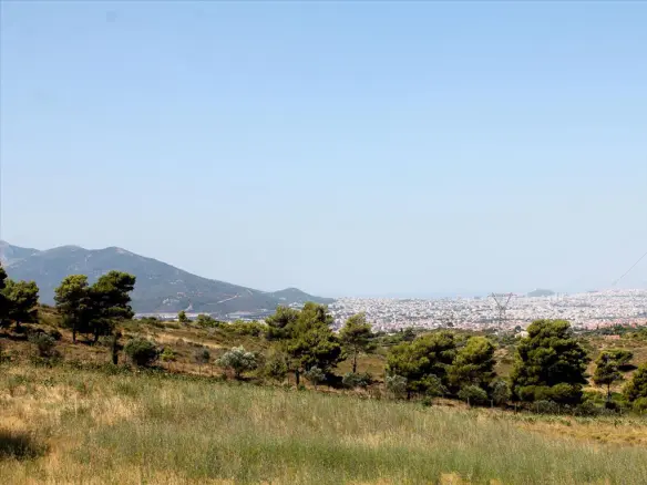 Land In Penteli, Greece